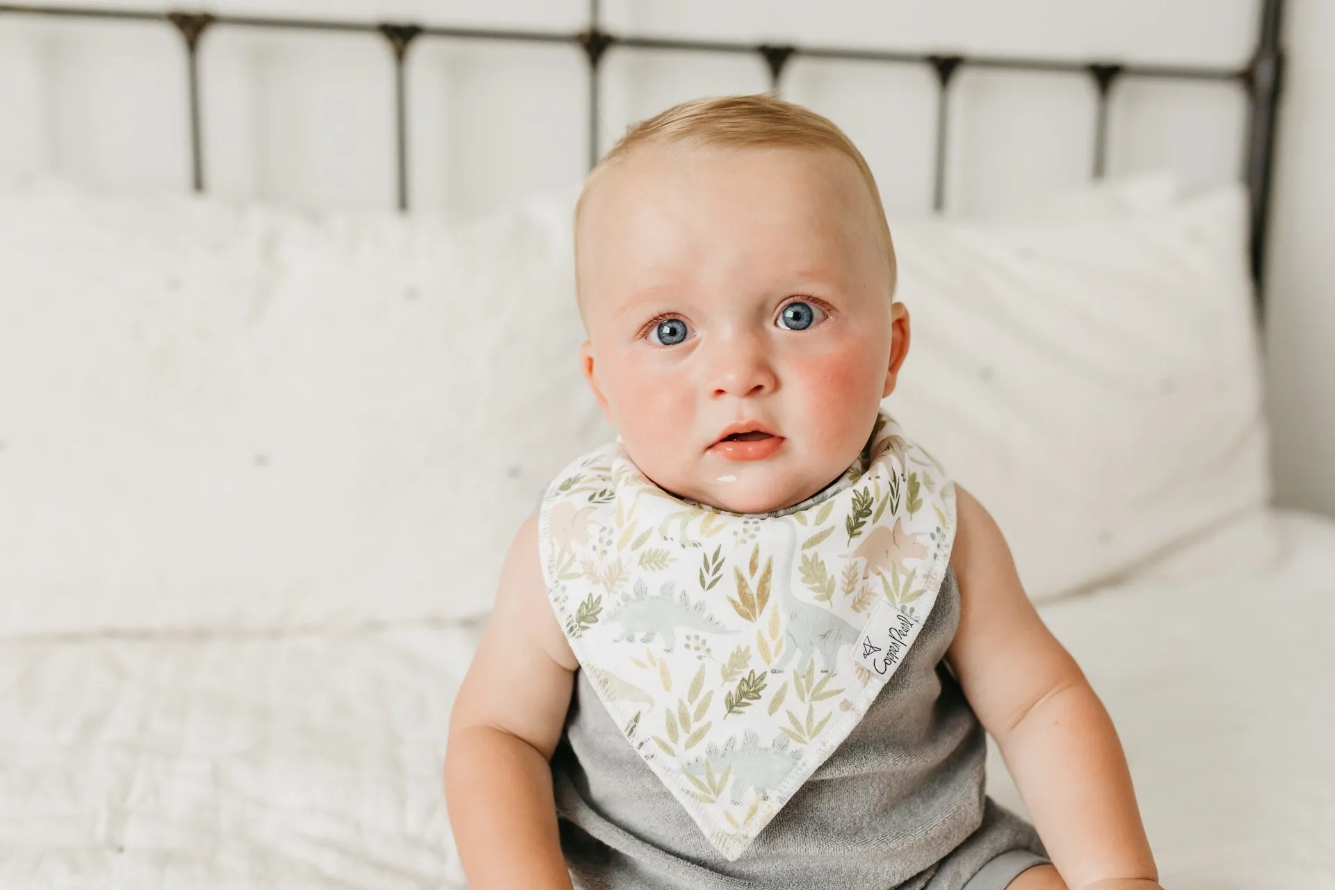 Copper Pearl Rex Bandanna Bib Set