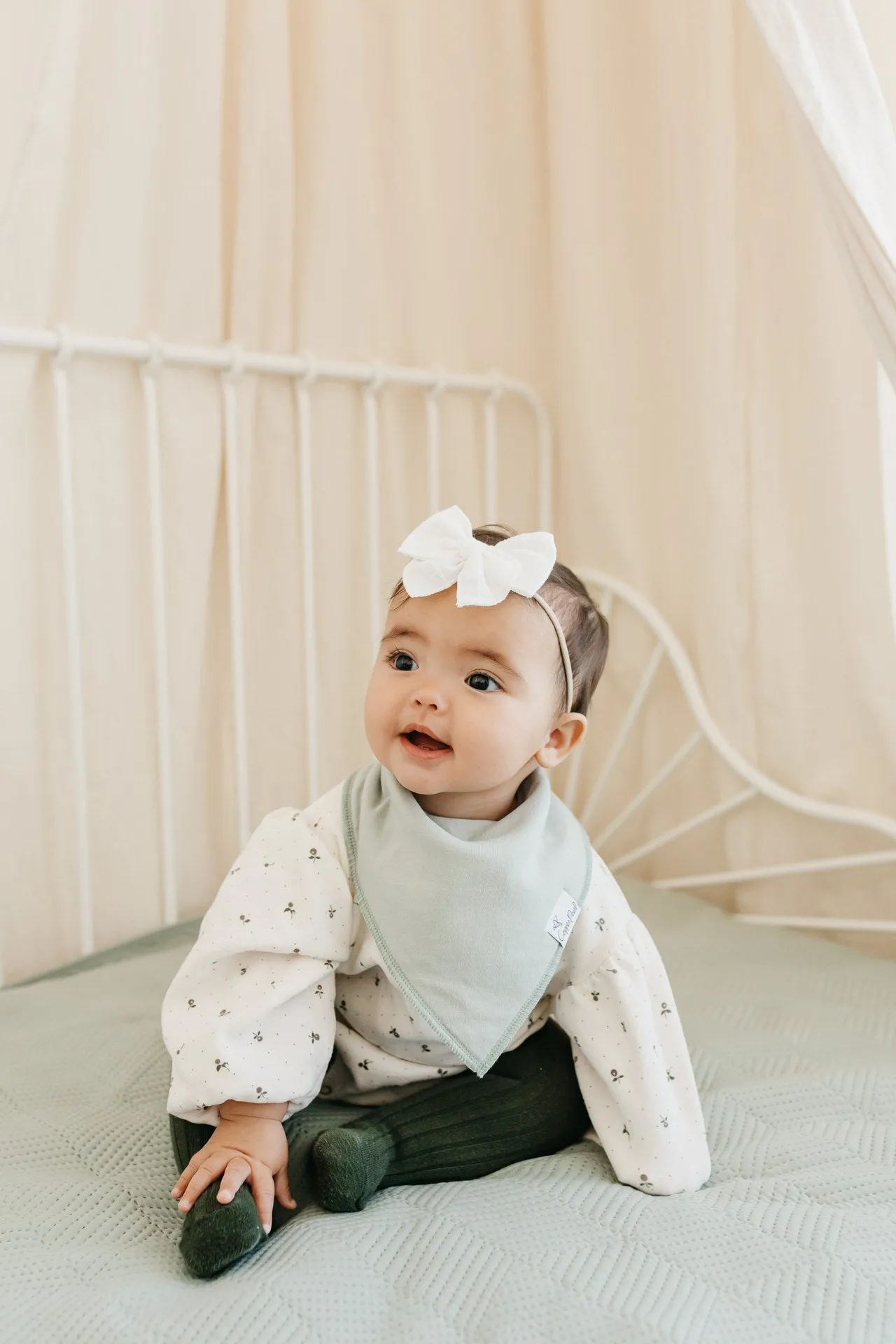 Copper Pearl Rex Bandanna Bib Set