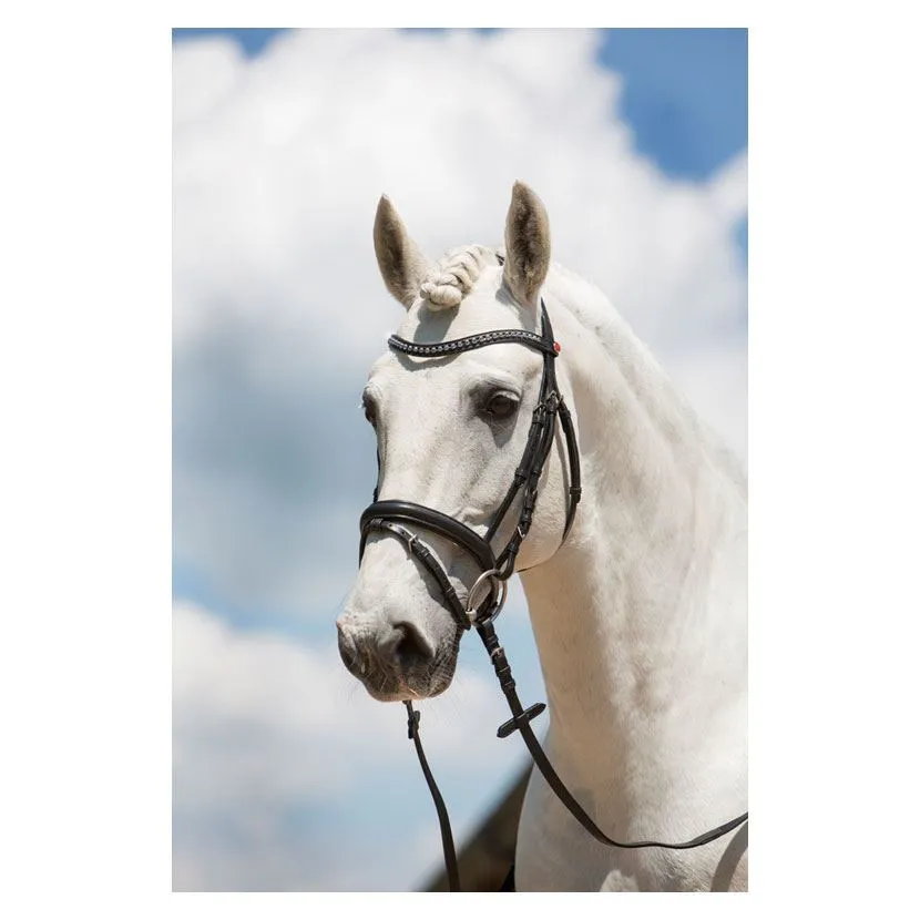 Kieffer Ultrasoft Fashion Snaffle Bridle