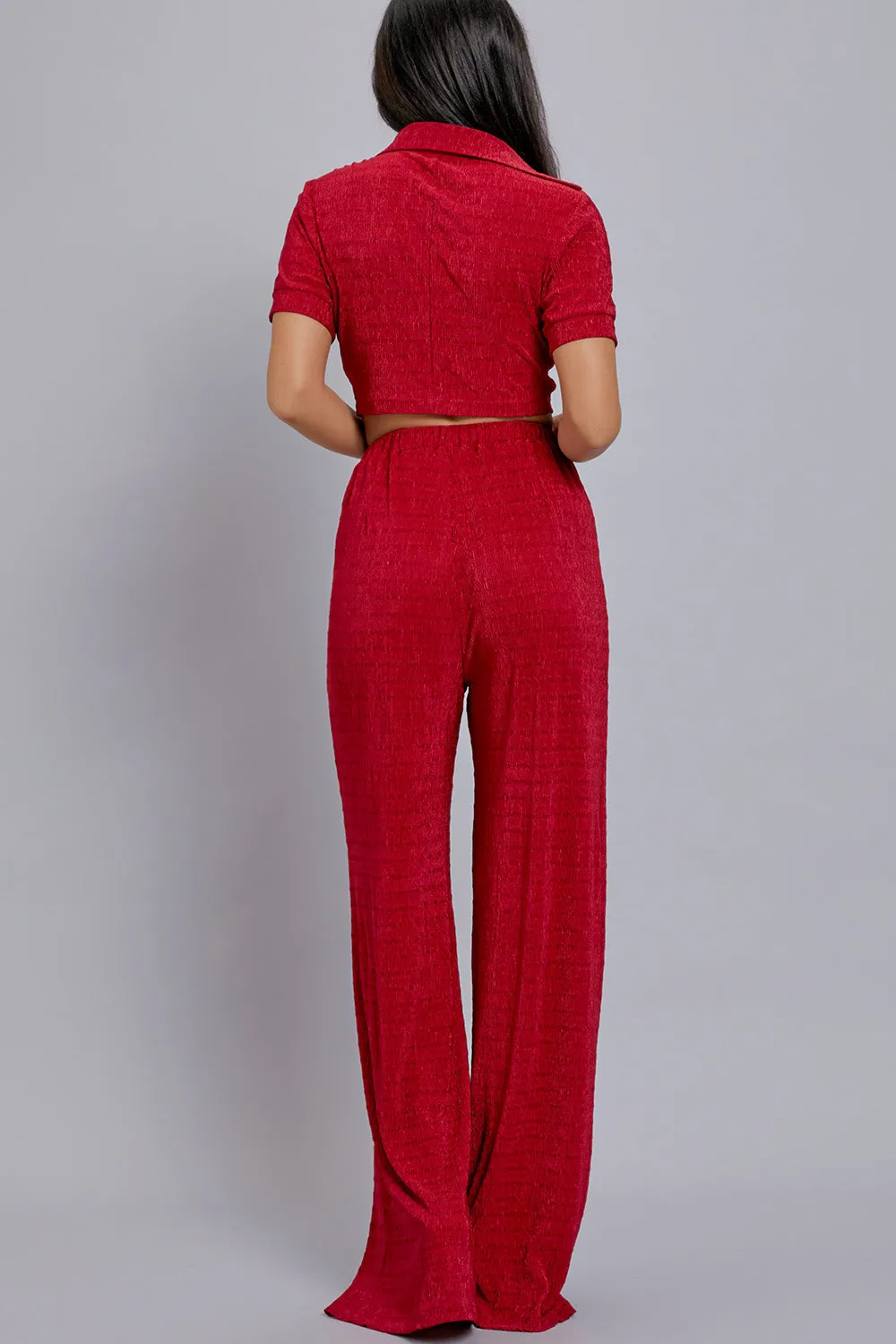 Short Sleeve Button Down Top with Pants Set